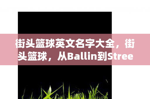 从Ballin到Street Hoops的英文名探索图片