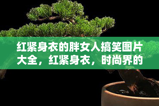 红紧身衣的胖女人搞笑图片大全，红紧身衣，时尚界的经典与争议