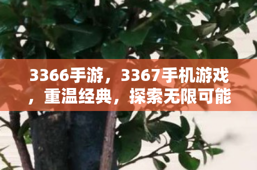 3367手机游戏图片