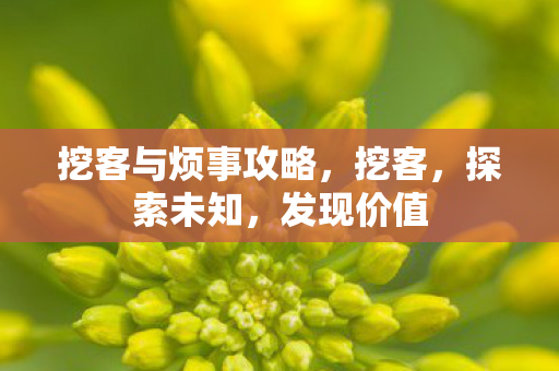 挖客与烦事攻略图片