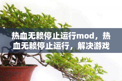 热血无赖停止运行mod，热血无赖停止运行，解决游戏崩溃的实用指南