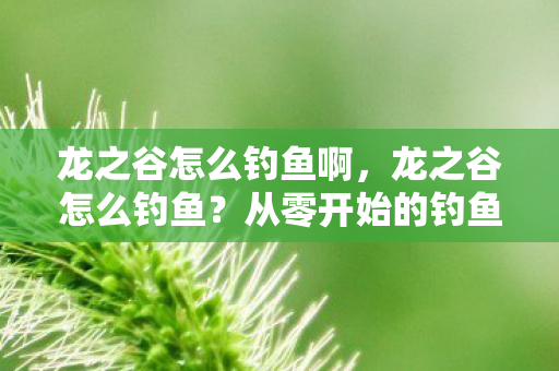 龙之谷怎么钓鱼啊，龙之谷怎么钓鱼？从零开始的钓鱼攻略