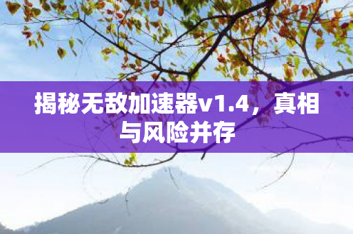 揭秘无敌加速器v1.4，真相与风险并存