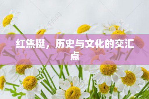 红焦挺，历史与文化的交汇点