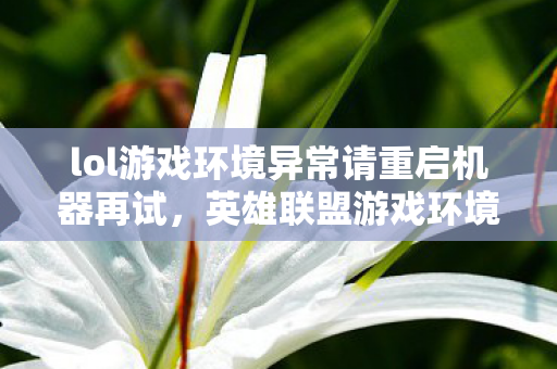 lol游戏环境异常请重启机器再试，英雄联盟游戏环境异常，重启机器，优化设置，打造流畅游戏体验