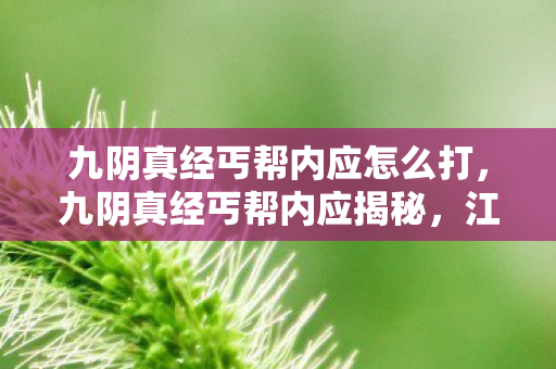 九阴真经丐帮内应怎么打，九阴真经丐帮内应揭秘，江湖背后的权力游戏