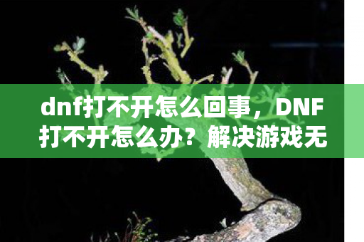 dnf打不开怎么回事，DNF打不开怎么办？解决游戏无法启动的常见问题