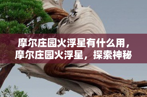 摩尔庄园火浮星有什么用图片