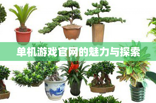单机游戏官网的魅力与探索