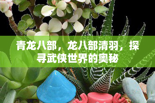 探寻武侠世界的奥秘图片