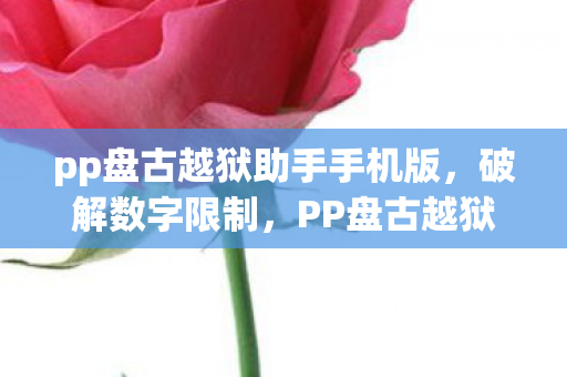 PP盘古越狱的兴起与影响图片