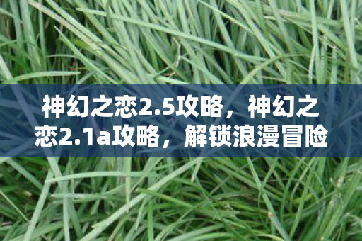 解锁浪漫冒险之旅图片