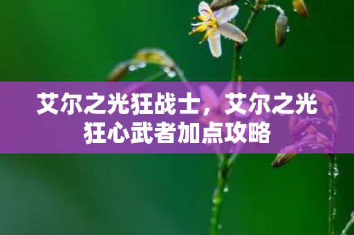 艾尔之光狂心武者加点攻略图片