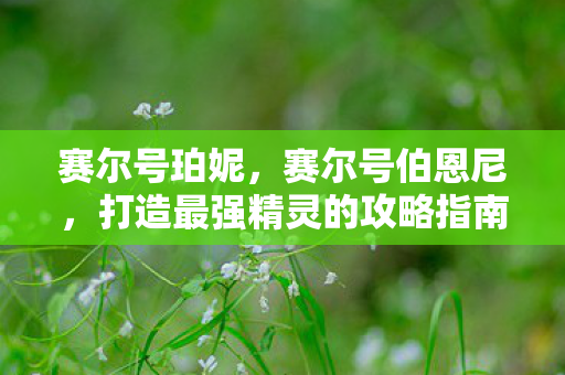 打造最强精灵的攻略指南图片