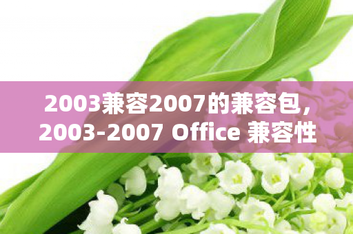 2007 Office 兼容性包图片