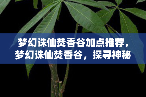 梦幻诛仙焚香谷加点推荐，梦幻诛仙焚香谷，探寻神秘的修炼之地