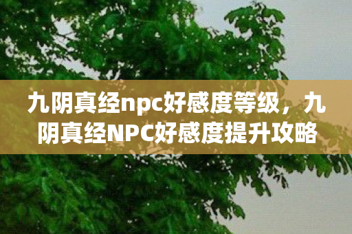 九阴真经NPC好感度提升攻略图片