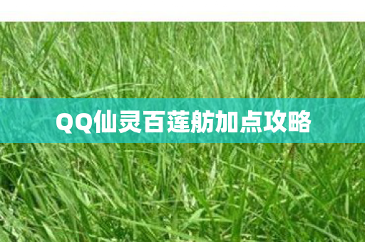 QQ仙灵百莲舫加点攻略