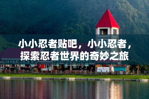 探索忍者世界的奇妙之旅图片