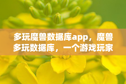 一个游戏玩家的数据宝藏图片