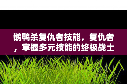 掌握多元技能的终极战士图片