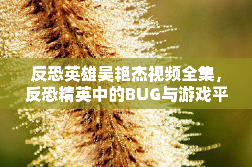 反恐英雄吴艳杰视频全集，反恐精英中的BUG与游戏平衡