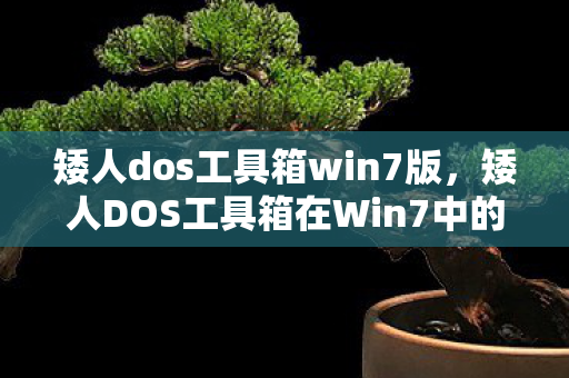 矮人dos工具箱win7版，矮人DOS工具箱在Win7中的使用指南