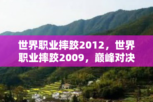 世界职业摔跤2012图片