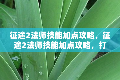 征途2法师技能加点攻略图片