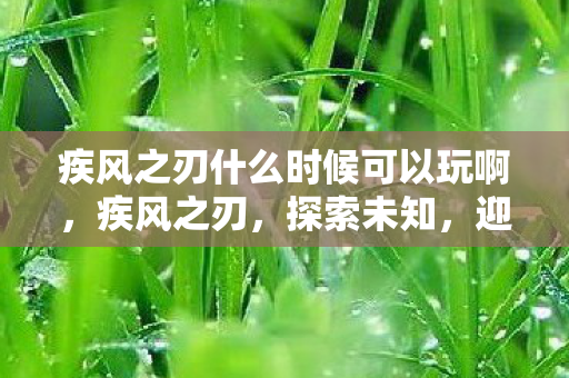 疾风之刃什么时候可以玩啊图片