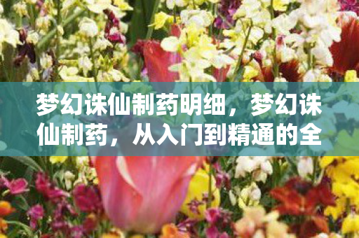 梦幻诛仙制药明细，梦幻诛仙制药，从入门到精通的全方位解析