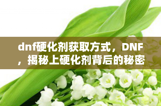 揭秘上硬化剂背后的秘密图片