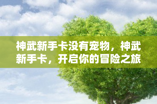 神武新手卡没有宠物图片