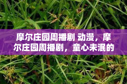 摩尔庄园周播剧 动漫图片