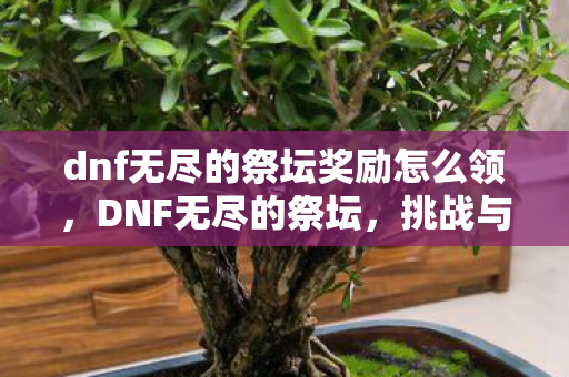dnf无尽的祭坛奖励怎么领图片