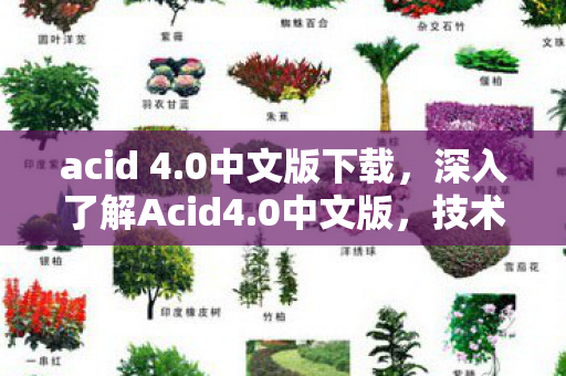 深入了解Acid4图片
