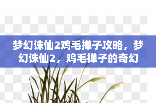 梦幻诛仙2鸡毛掸子攻略，梦幻诛仙2，鸡毛掸子的奇幻之旅