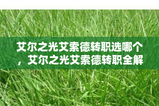 艾尔之光艾索德转职选哪个图片