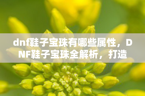 dnf鞋子宝珠有哪些属性图片