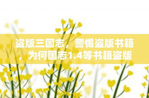 4等书籍盗版需严厉打击图片