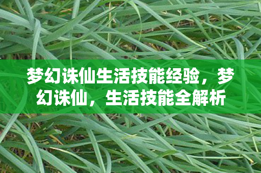 梦幻诛仙生活技能经验图片