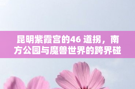 昆明紫霞宫的46 道拐，南方公园与魔兽世界的跨界碰撞，当动画遇上游戏的奇妙融合