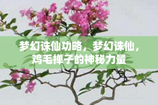 梦幻诛仙功略，梦幻诛仙，鸡毛掸子的神秘力量