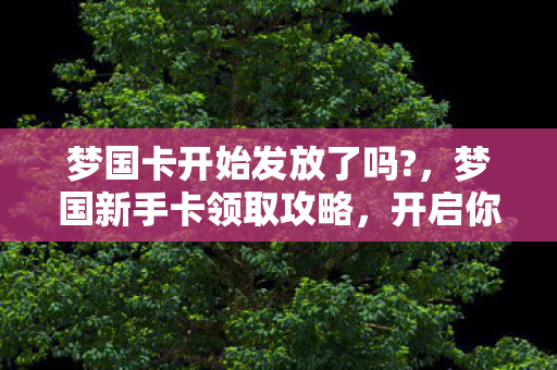 梦国卡开始发放了吗图片