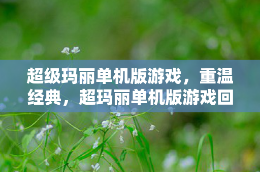 超玛丽单机版游戏回顾图片