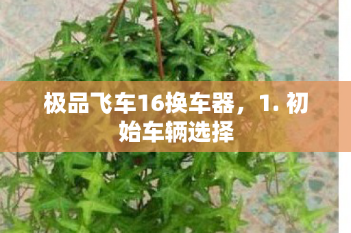 极品飞车16换车器图片