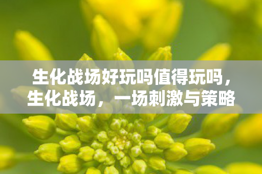 一场刺激与策略并存的战斗体验图片