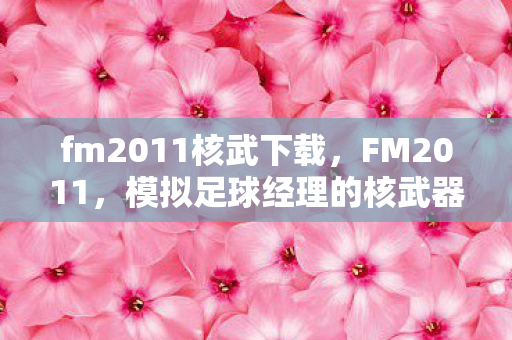 fm2011核武下载图片