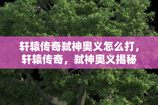 轩辕传奇弑神奥义怎么打图片