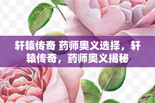 轩辕传奇 药师奥义选择图片